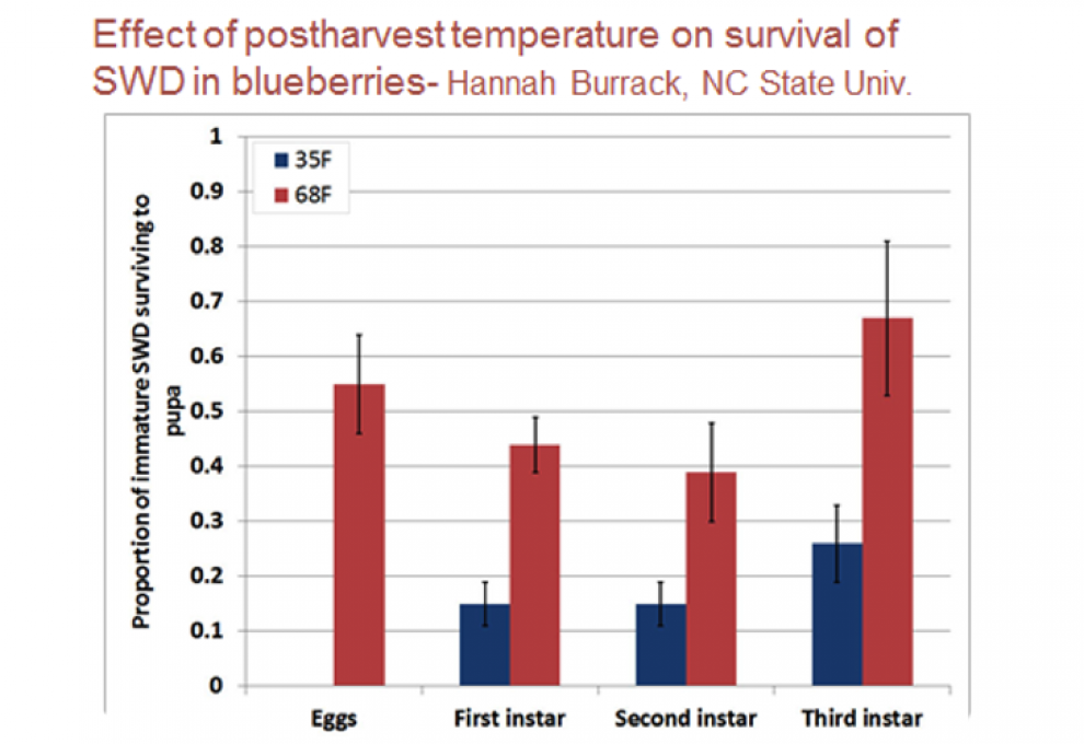 Figure 1: SWD survival and development can be reduced by holding fruit at 2°C immediately after harvest and all through the marketing chain.