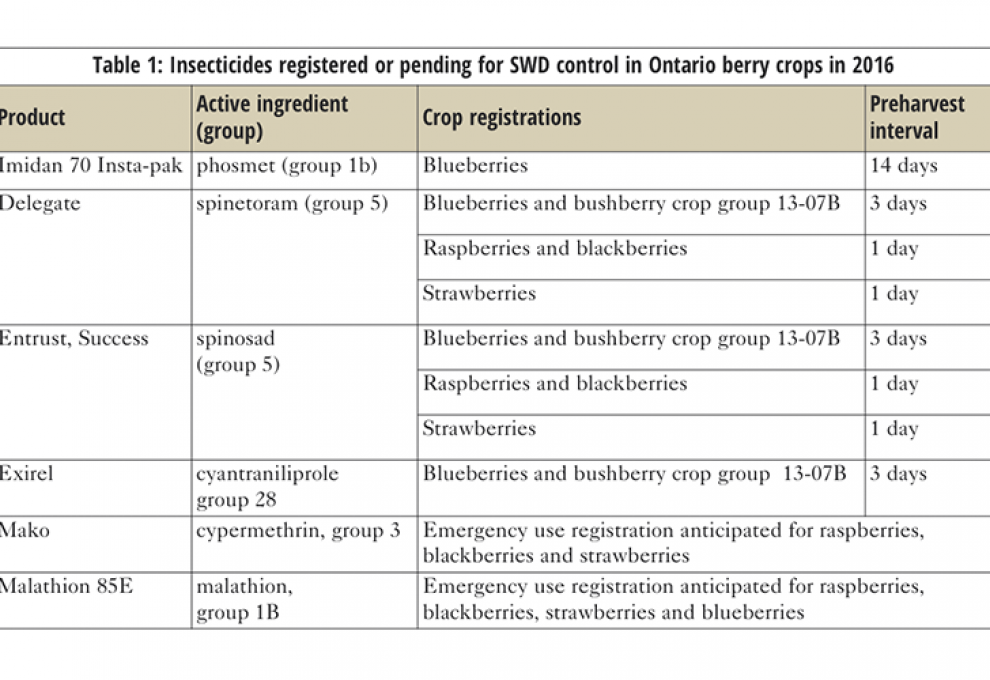 *bushberries = Crops in crop group 13-07B, including elderberries, haskaps, saskatoon berries