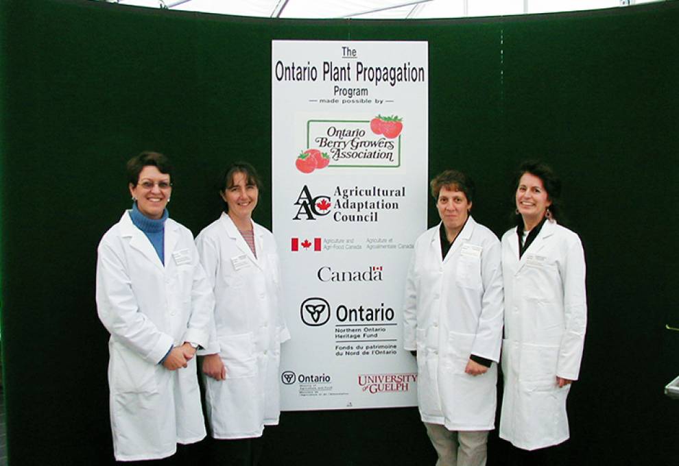 The staff of the Superior Plant Upgrading and Distribution (SPUD) Unit is pictured at the official opening of the Ontario Berry Growers’ Association strawberry and raspberry plant program on November 8, 2004. L-R: Becky Hughes and technicians Wanda Cook, Sandra Seed and Candy Keith who are continuing the work in New Liskeard, Ontario.