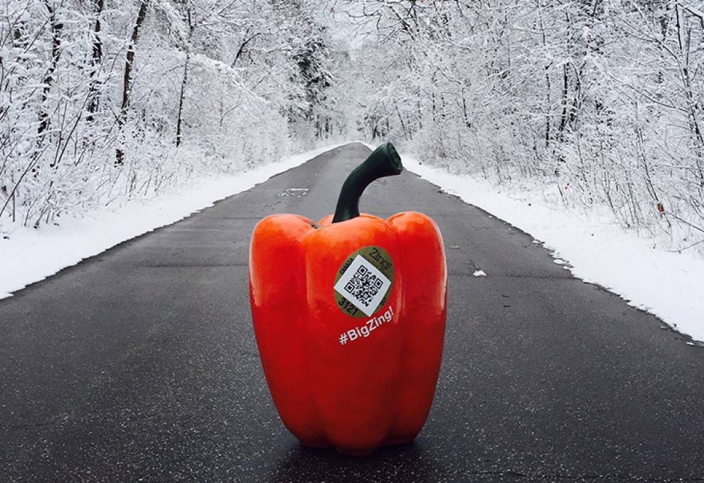 Orangeline Farms, Leamington, promotes its year-round production of peppers under their Zing! Healthy Foods brand. ­Those interested can follow #BigZing on social media. When it comes to these peppers, what will consumers’ buying decisions be based on.