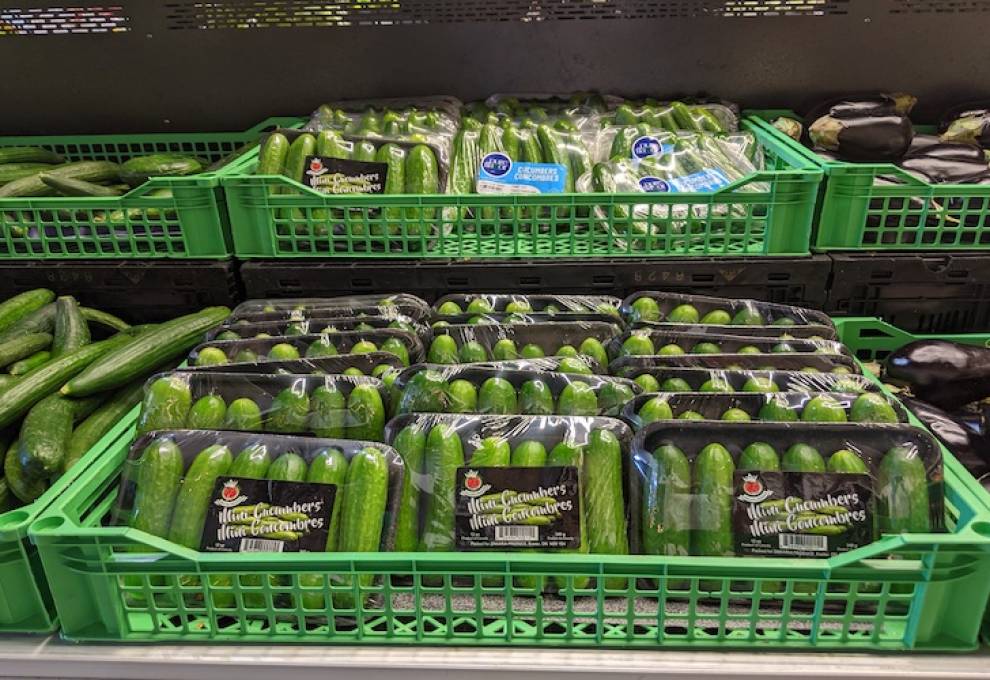 The Canadian Food Inspection Agency has announced a transition period for new standards for greenhouse miniature cucumbers