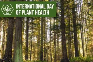  International Day of Plant Health 